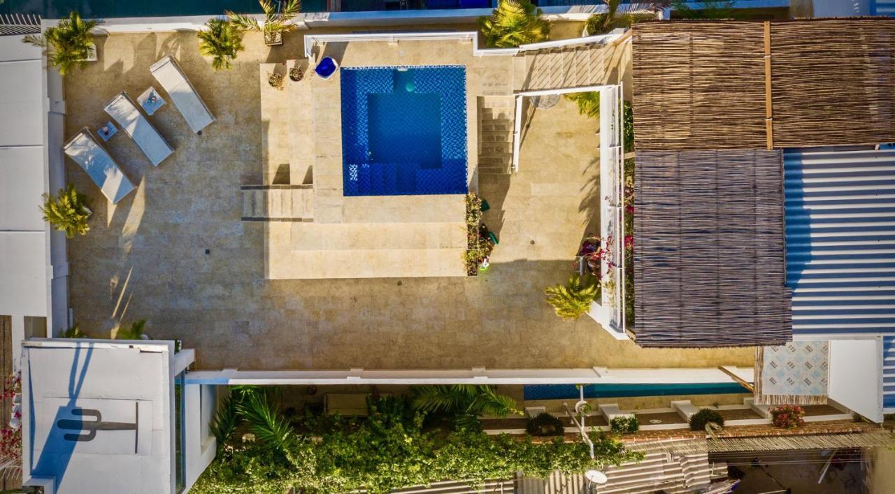 El Cactus Luxury In Historic Center